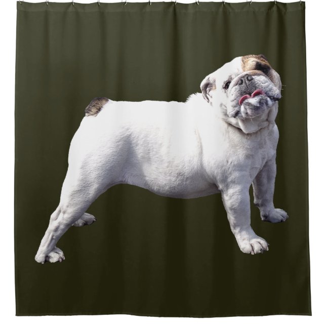 Cortina Para Box Bulldog Em Pé (Frente)