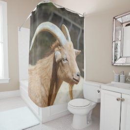 Cortina Para Box Cabra