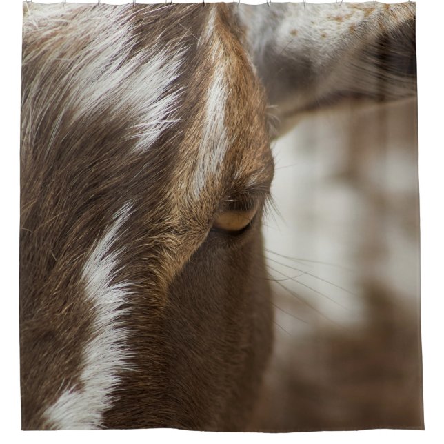 Cortina Para Box Cabra (Frente)