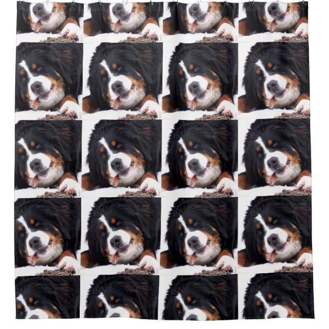 Cortina Para Box cachorro engraçado (Frente)