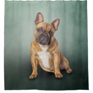 Cortina Para Box Cachorro francês de desenho