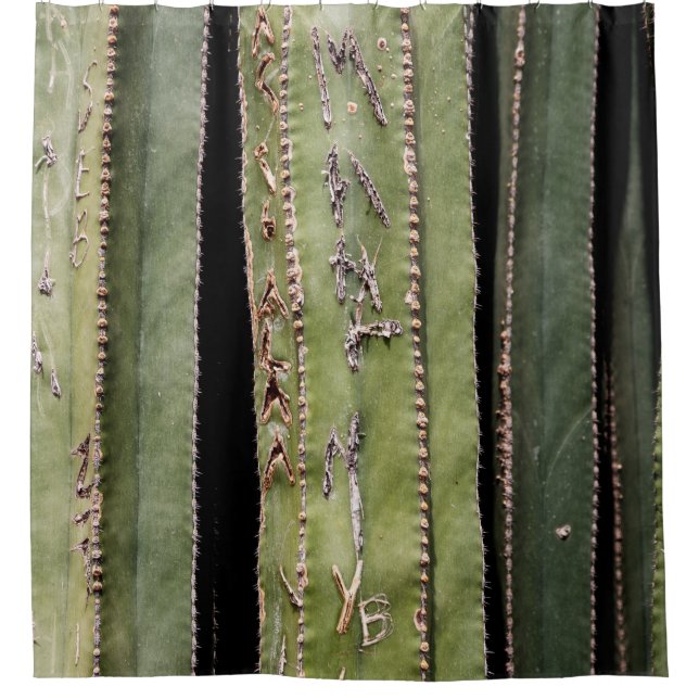 Cortina Para Box Cacto (Frente)