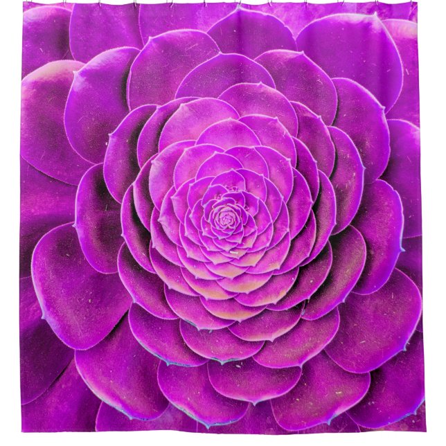 Cortina Para Box Cactus blosom design (Frente)