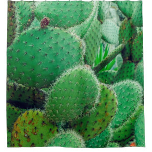 Cortina Para Box Cactus, cacto de pera picante, espinhos de cacto,
