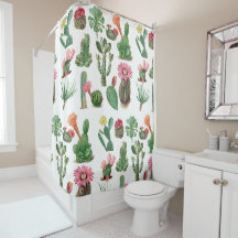 Cactus e Suculentes Coloridos de Aquarela