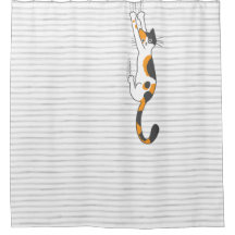 Calico Cat Seguindo | Ferimentos de Cat Lover