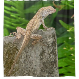 Cortina Para Box Camouflage Master