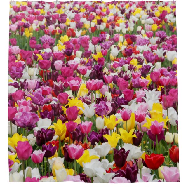 Cortina Para Box campo cheio de tulipas (Frente)