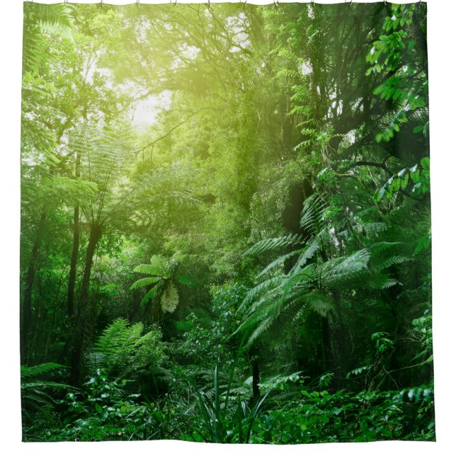 Cortina Para Box Canopia da árvore solar na selva tropical  (Frente)