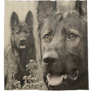 Cortina Para Box Cão de german shepherd de trabalho - GSD