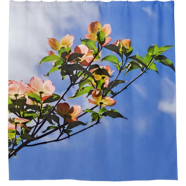 Cortina Para Box Cão-Rose contra o Céu (Frente)