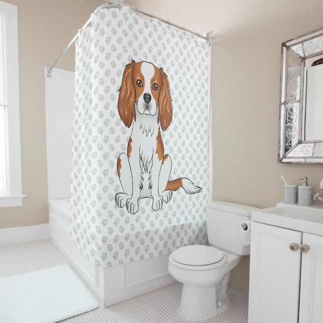 Cortina Para Box Cavalier King Charles Spaniel & Patas Blenheim (In Situ)