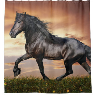 Cortina Para Box Cavalo Preto Lindo