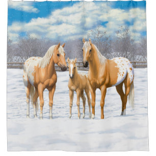 Cortina Para Box Cavalos De Palomino Appaloosa Na Pastagem De Inver