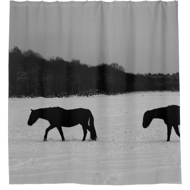 Cortina Para Box Cavalos no ccna da neve (Frente)
