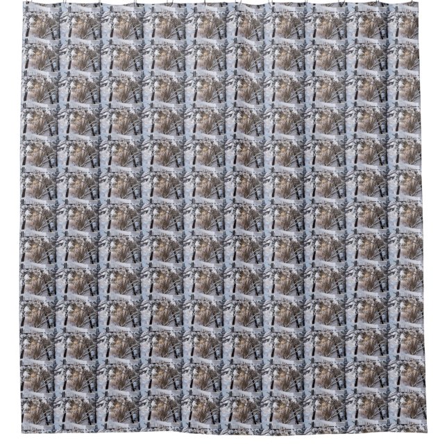 Cortina Para Box Cena de Neve (Frente)