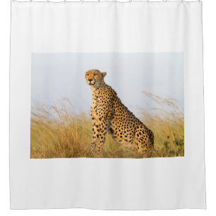 Cortina Para Box Cheetah