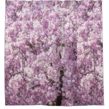 Cherry Blossom Primavera