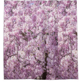 Cortina Para Box Cherry Blossom Primavera