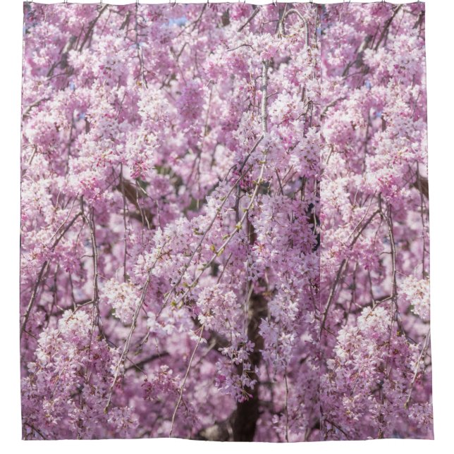 Cortina Para Box Cherry Blossom Primavera (Frente)