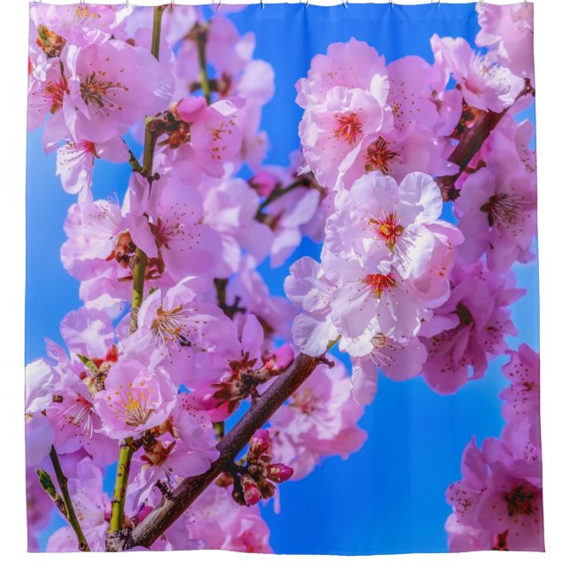 Cortina Para Box Cherry Blossoms japoneses 13 (Frente)