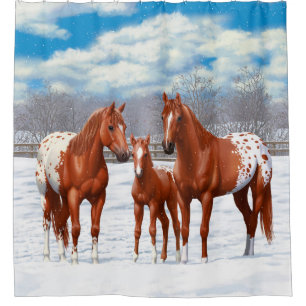 Cortina Para Box Chestnut Appaloosa Sorrel Quarter Hores em Neve