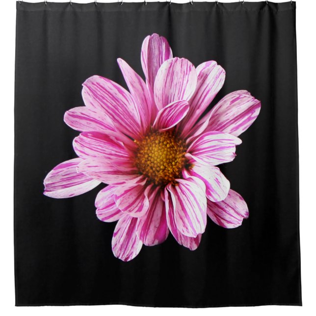 Cortina Para Box Chrysanthemum Flower sccnm (Frente)