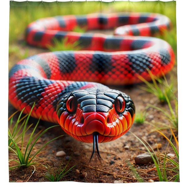 Cortina Para Box Cobra (Frente)