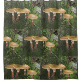 Cortina Para Box Cogumelos florestais