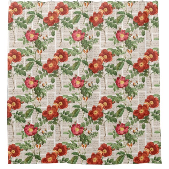 Cortina Para Box Coleção de Ilustrações do Patrimônio Rosa Vitorian (Frente)