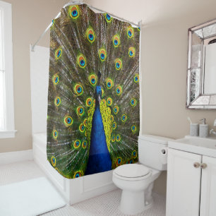 Cortina Para Box Colorful peacock