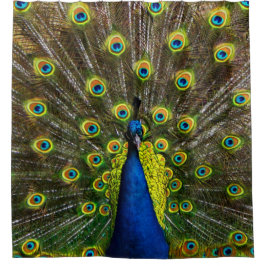 Cortina Para Box Colorful peacock