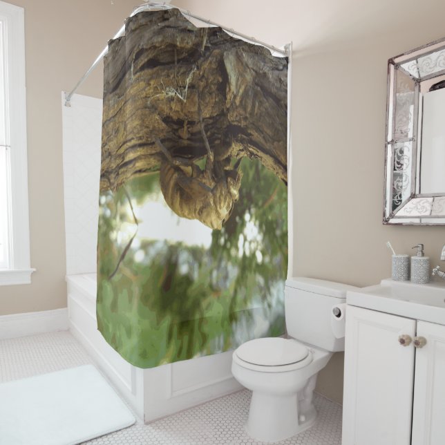 Cortina Para Box Concha de Cicada. Estava com pressa. (In Situ)