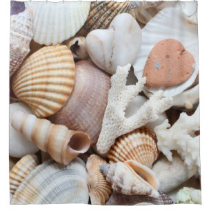 Cortina Para Box Conchas do Mar Pedras Fundo Coral
