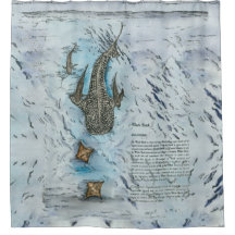 Cores d'água de tubarão de baleia ameaçadas