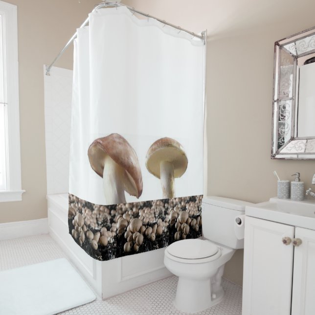 Cortina Para Box Cortina chá (In Situ)