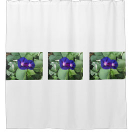 Cortina Para Box Cortina de chá da flor da corriola