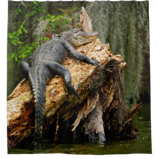 Cortina Para Box Cortina de Chá de Alligador Preguiçoso por DeGruy