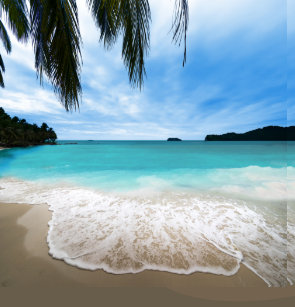 Get Wallpaper Cortinas Para Banheiro Tema Da Praia Zazzle Com Br For Android Free
