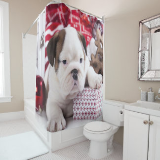 Cortina Para Box Cute Puppy English Buldogue | Natal engraçado