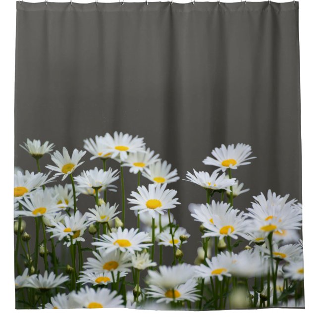 Cortina Para Box Daisies on Grey (Frente)