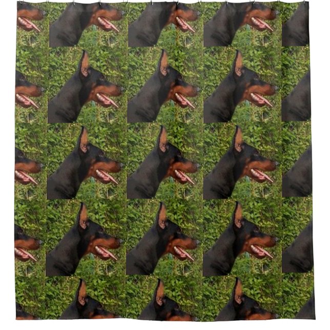 Cortina Para Box doberman pinscher (Frente)