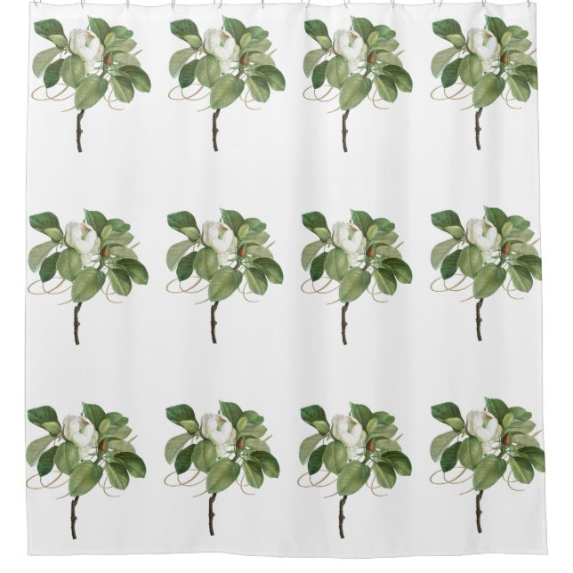 Cortina Para Box Doenças do (Frente)