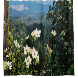Cortina Para Box Dogwood está sangrando......