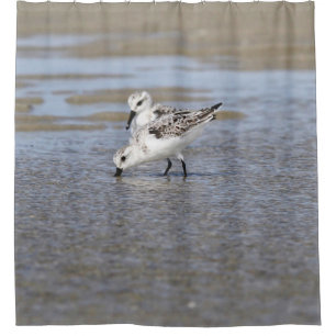 Cortina Para Box Dois Sanderlings