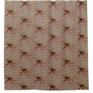 Cortina Para Box Dragonfly Colorful