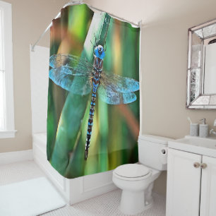 Cortina Para Box Dragonfly Fantasia em Turquesa e Negro