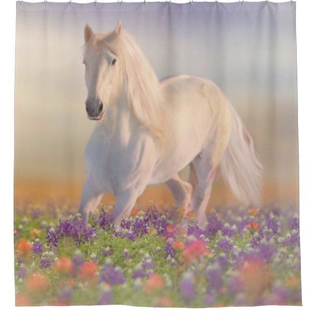 Cortina Para Box Dream Horse (Frente)