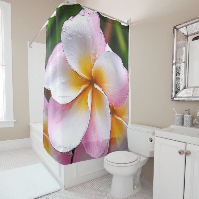 Cortina Para Box Dream Palette: Franjipani flower (In Situ)