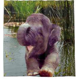 Cortina Para Box Elefante e água